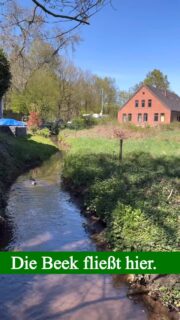 Ein Supermarkt mit 1800 m2 VK-Fläche? Nicht mit uns. Der Flächenverbrauch muss gestoppt werden. Wenn nicht jetzt, wann dann. In diesem Bereich jedenfalls komplett Fehl am Platz.
#gruene #ritterhude #supermarkt #naturschutz #flächenverbrauch